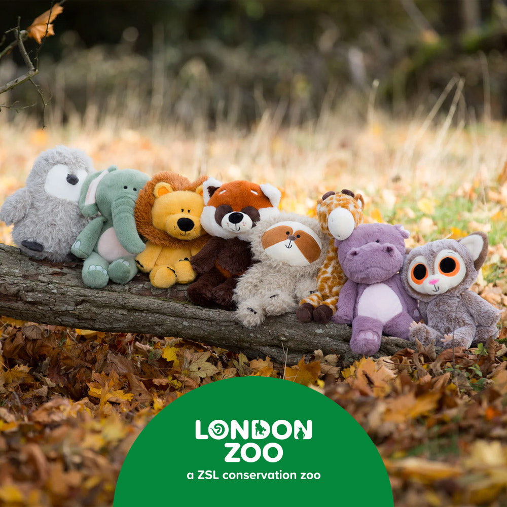 London Zoo, a ZSL conservation Zoo