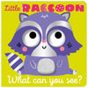 Little Raccoon What Can You See? (9781803371559) by Make Believe Ideas