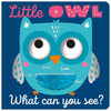 Little Owl What Can You See? (9781803377483) by Make Believe Ideas
