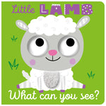 Little Lamb What Can You See? (9781805444190) by Make Believe Ideas