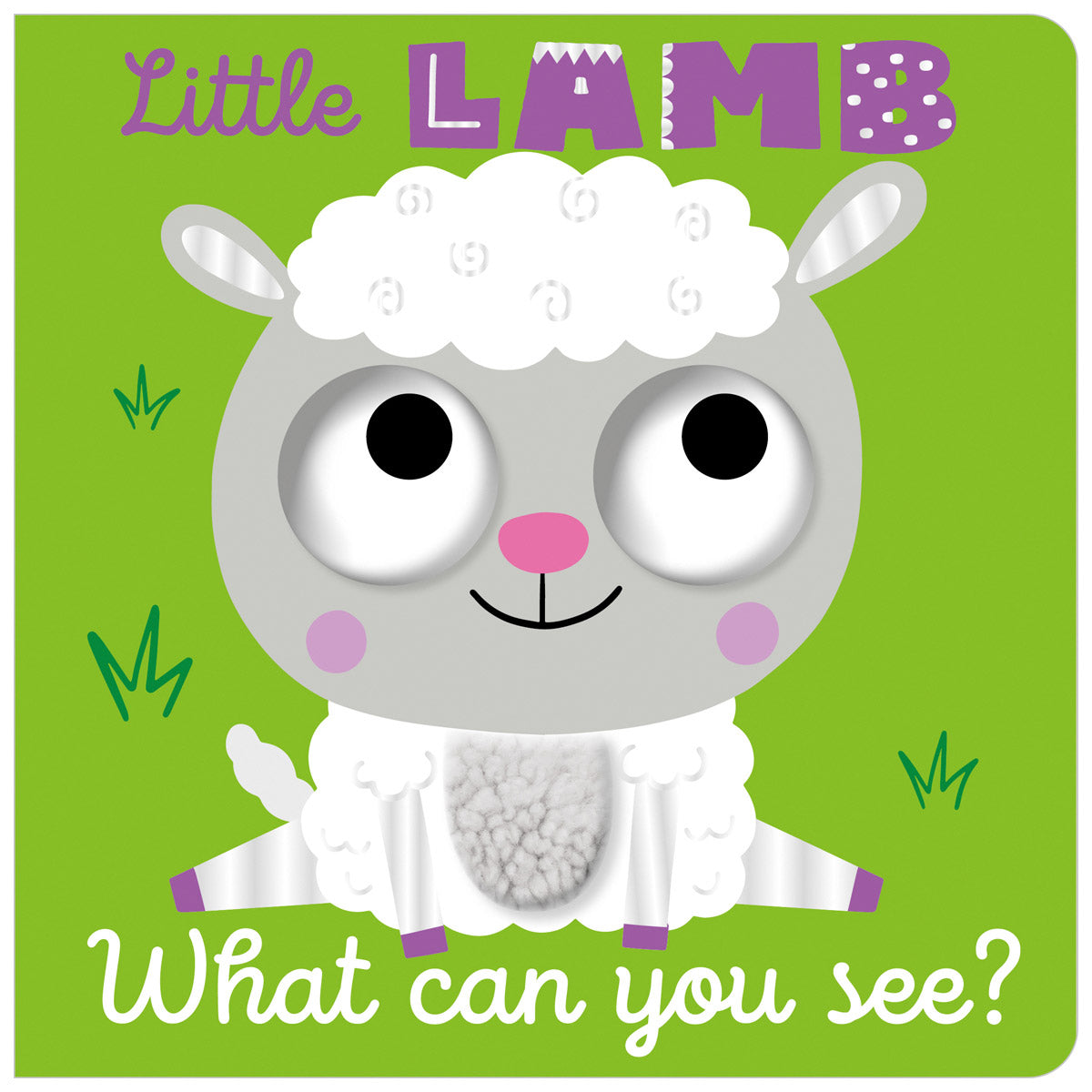 Little Lamb What Can You See? (9781805444190) by Make Believe Ideas