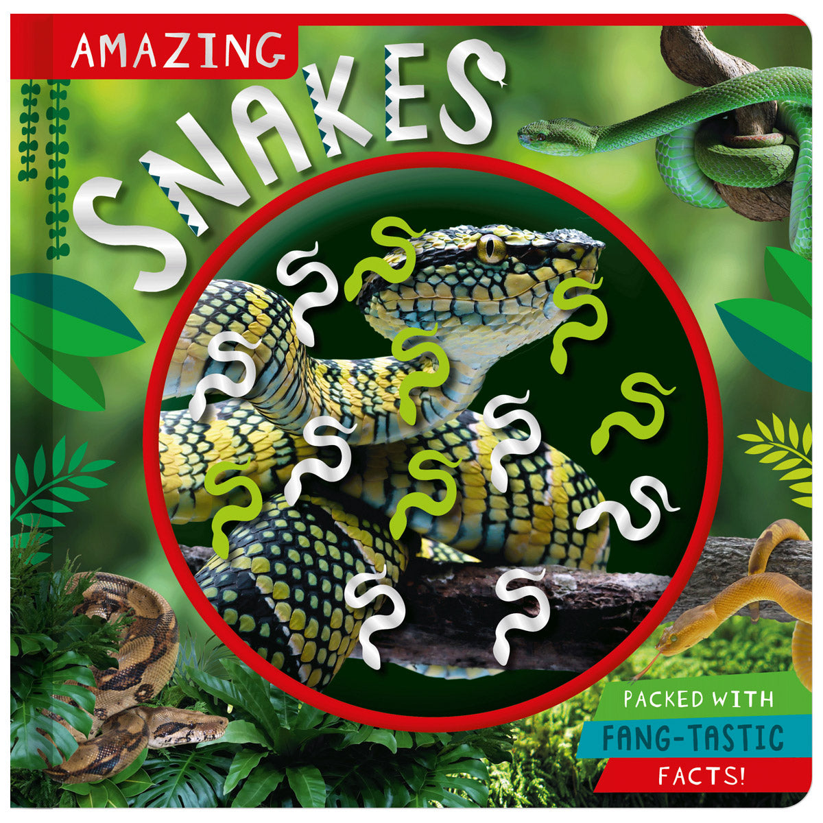 Amazing Snakes (9781805443919) by Make Believe Ideas