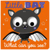 Little Bat What Can You See? (9781805442066) by Make Believe Ideas