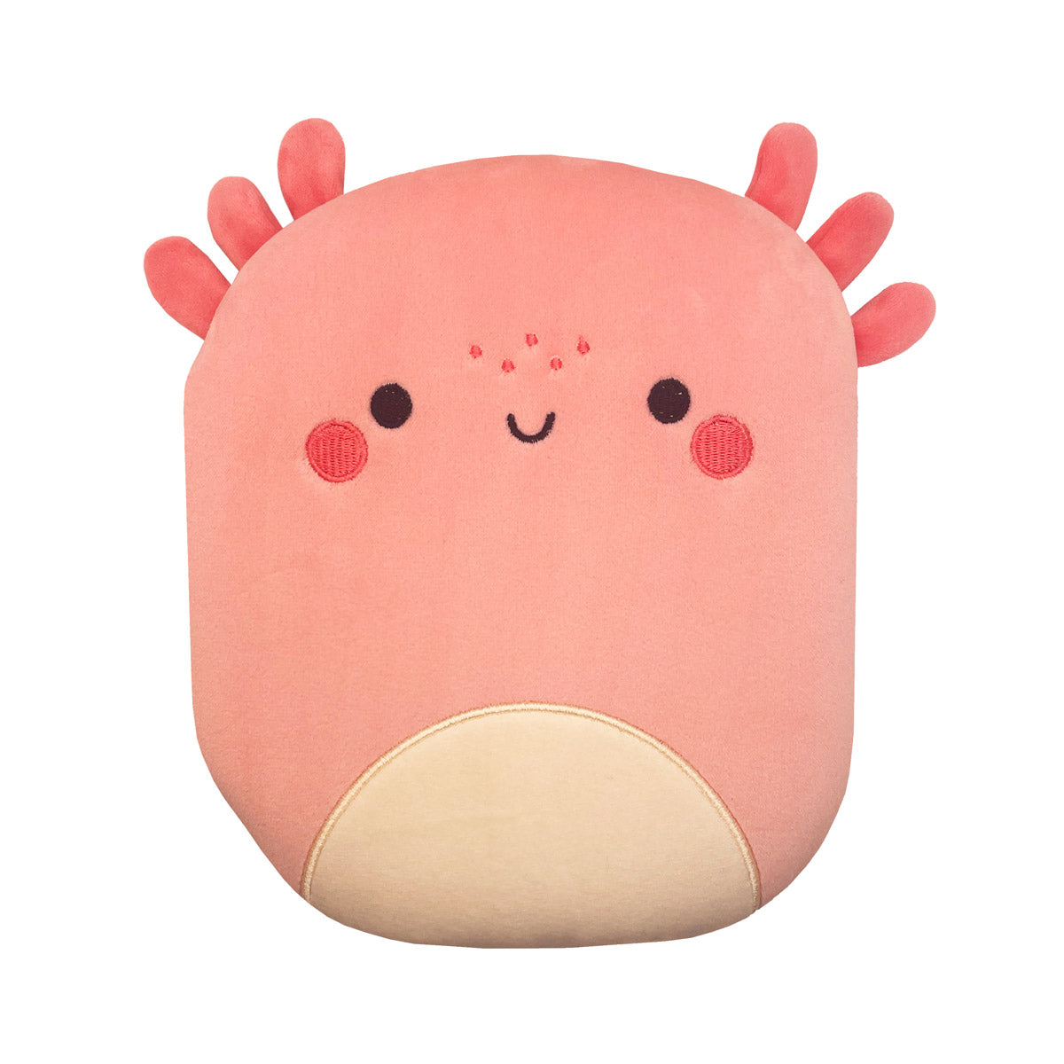 Squish and Snugg Groovy Axolotl (9781805441892) by Make Believe Ideas