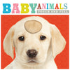 Baby Animals (9781783931538) by Make Believe Ideas