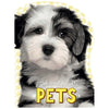 Pets (9781785981319) by Make Believe Ideas