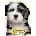 Pets (9781785981319) by Make Believe Ideas
