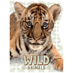 Wild Animals (9781785981340) by Make Believe Ideas