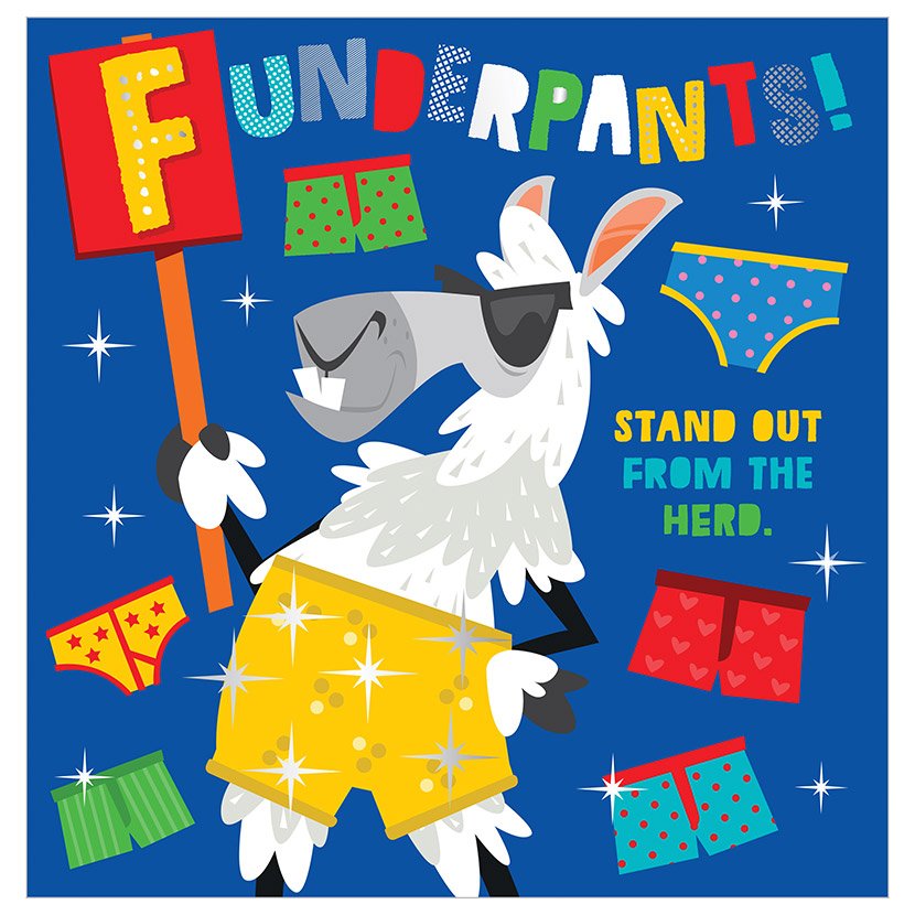 Funderpants! (9781789470178) by Make Believe Ideas