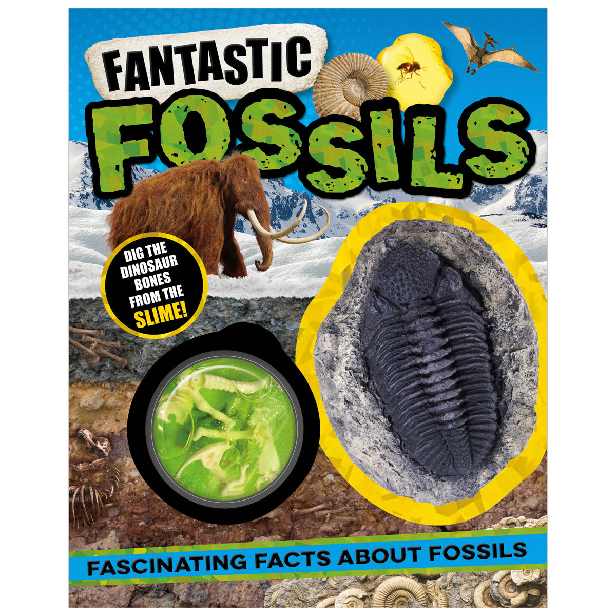 Fantastic Fossils (9781803378206) by Make Believe Ideas