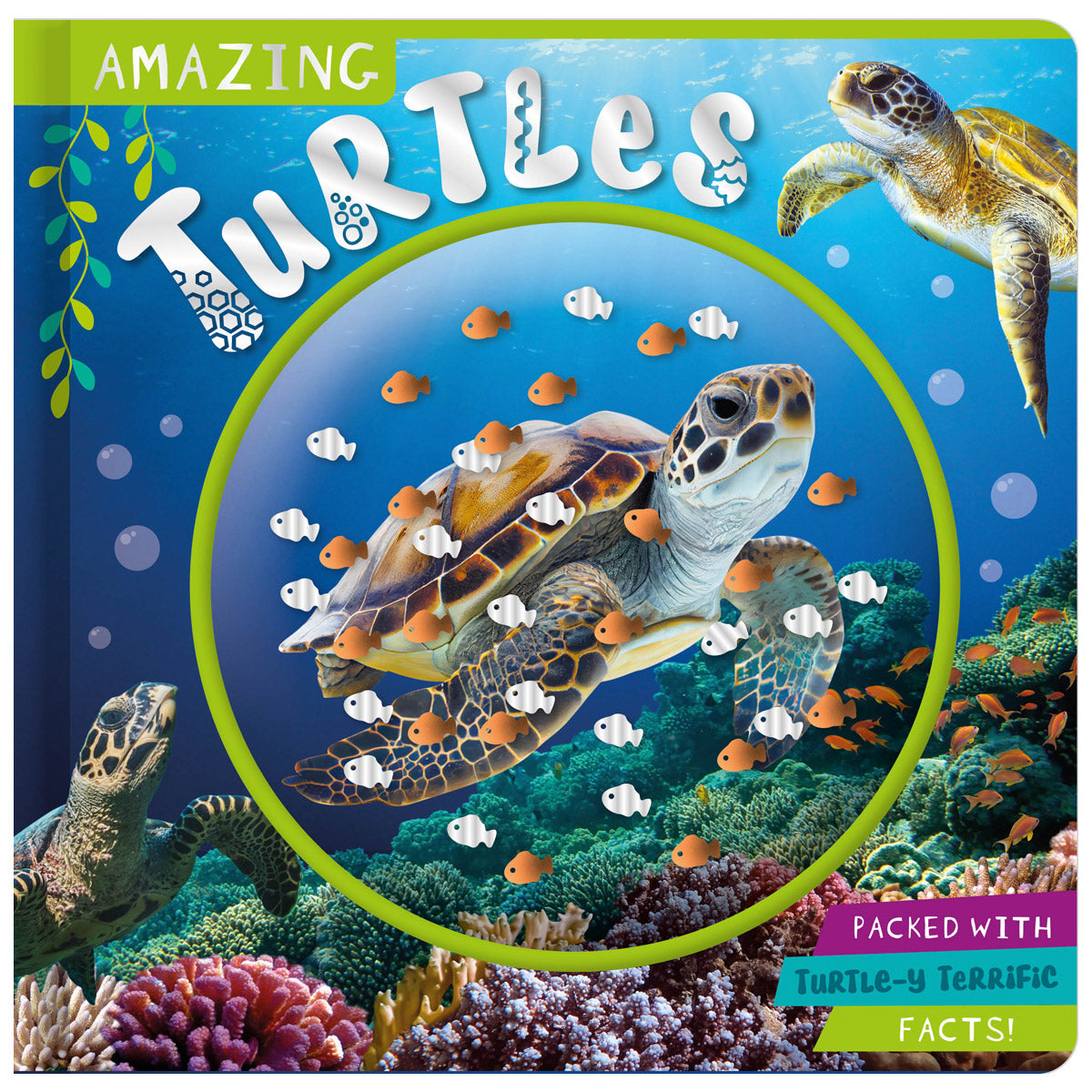 Amazing Turtles (9781805448945) by Make Believe Ideas