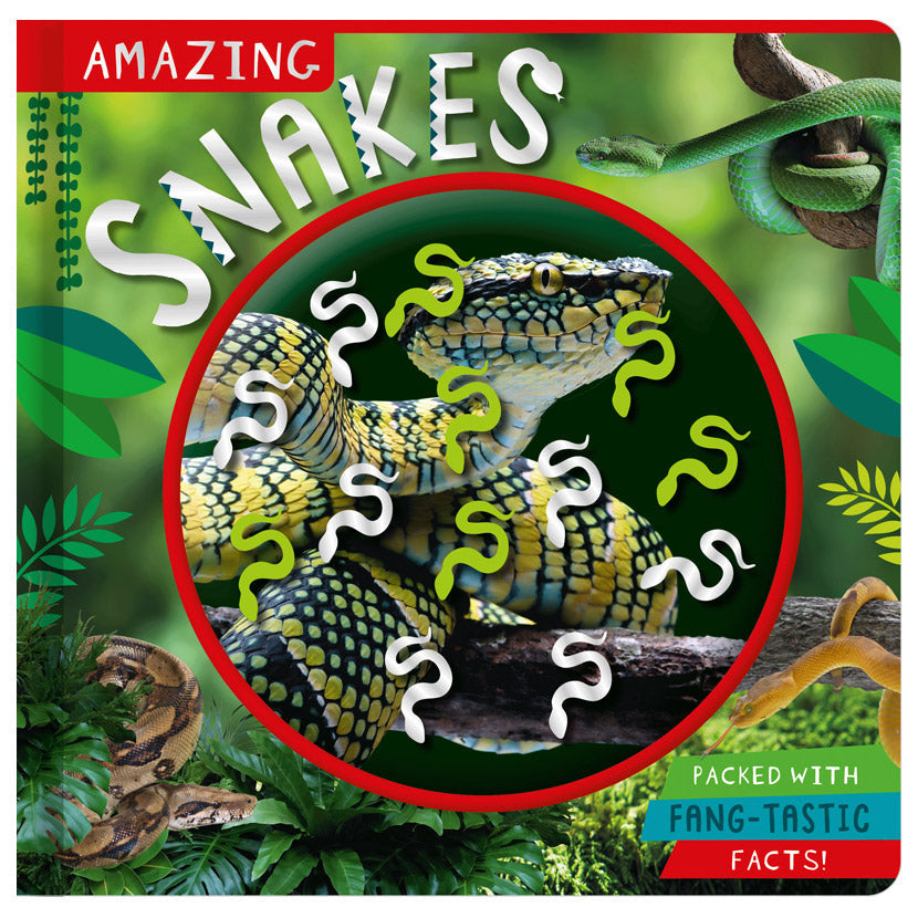 Product image 1 of Amazing Snakes, a non-fiction book for ages 4+, by Make Believe Ideas.