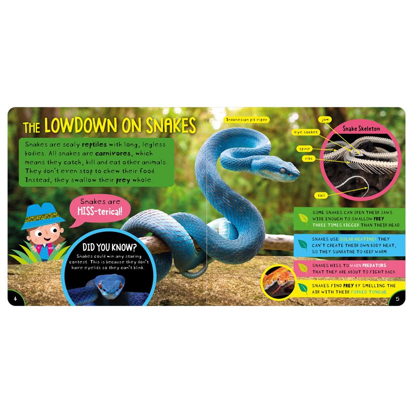 Product image 2 of Amazing Snakes, a non-fiction book for ages 4+, by Make Believe Ideas.