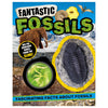 Product image 1 of Fantastic Fossils, a non-fiction book for ages 5+, by Make Believe Ideas.
