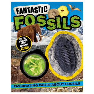 Product image 1 of Fantastic Fossils, a non-fiction book for ages 5+, by Make Believe Ideas.