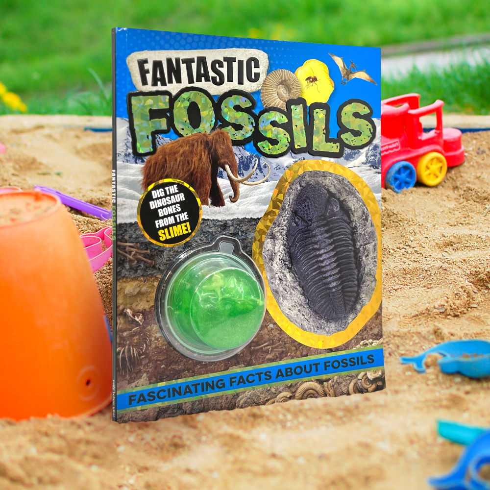 Product image 2 of Fantastic Fossils, a non-fiction book for ages 5+, by Make Believe Ideas.