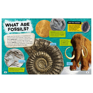 Product image 3 of Fantastic Fossils, a non-fiction book for ages 5+, by Make Believe Ideas.