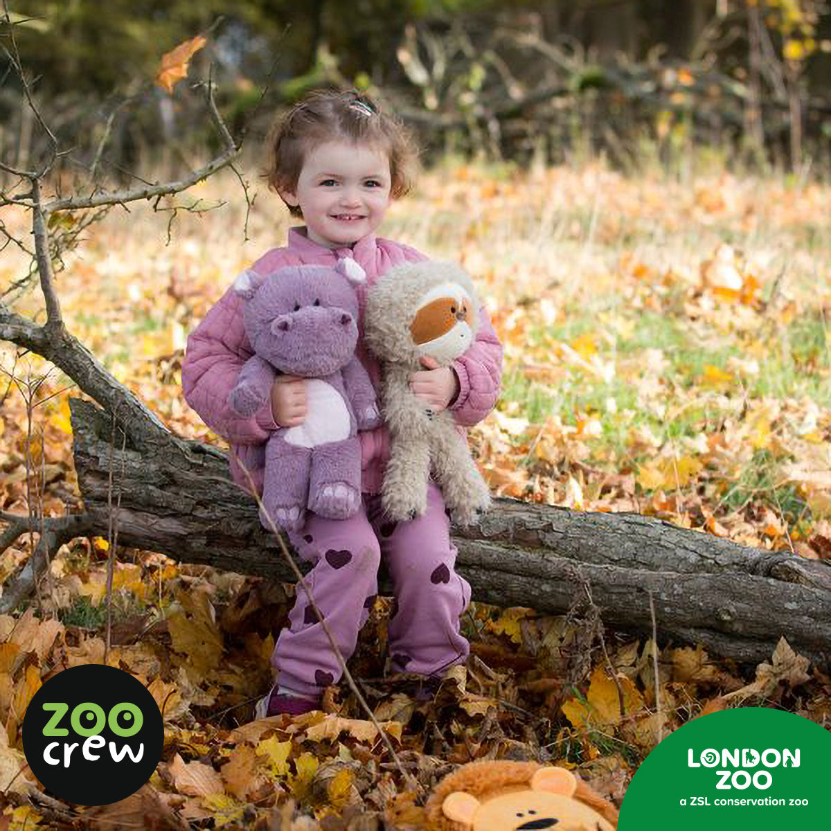 Product image 7 of Honey the Pygmy Hippo, a plush toy for ages 0+, by Make Believe Ideas.