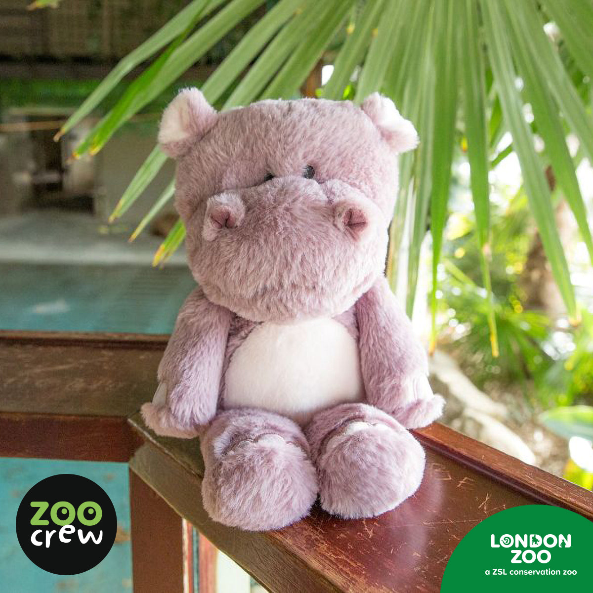 Product image 8 of Honey the Pygmy Hippo, a plush toy for ages 0+, by Make Believe Ideas.