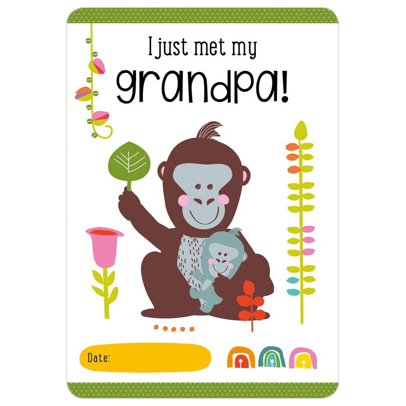 Product image 2 of Petite Boutique Moments to Treasure Baby Record Cards, a box set for ages 0+, by Make Believe Ideas.